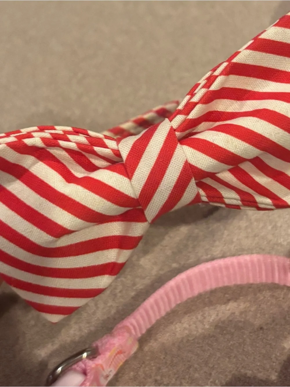 Dog Bow Collar Set with Pearl Necklace - Pink, Orange, Teal, Red, White